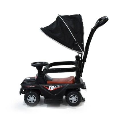 Porteur musical avec canne...