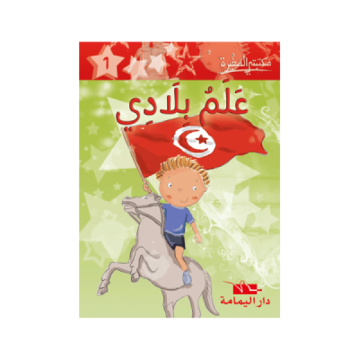 Serie de 16 histoires arabe