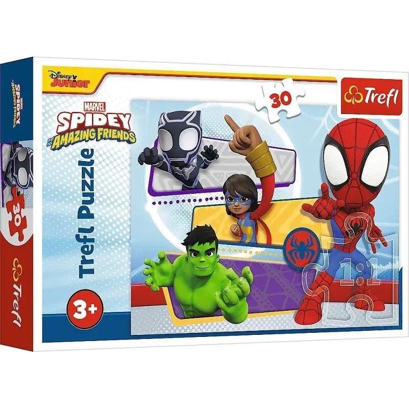 [1650568744] Puzzle 30 Spidey 18322