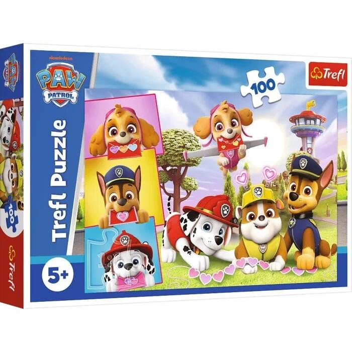 [1650568750] Puzzle 100 Pawpatrol 16520