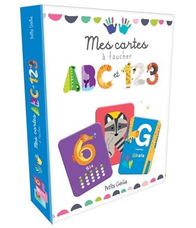 [1650567815] Mes cartes a toucher abc et 123