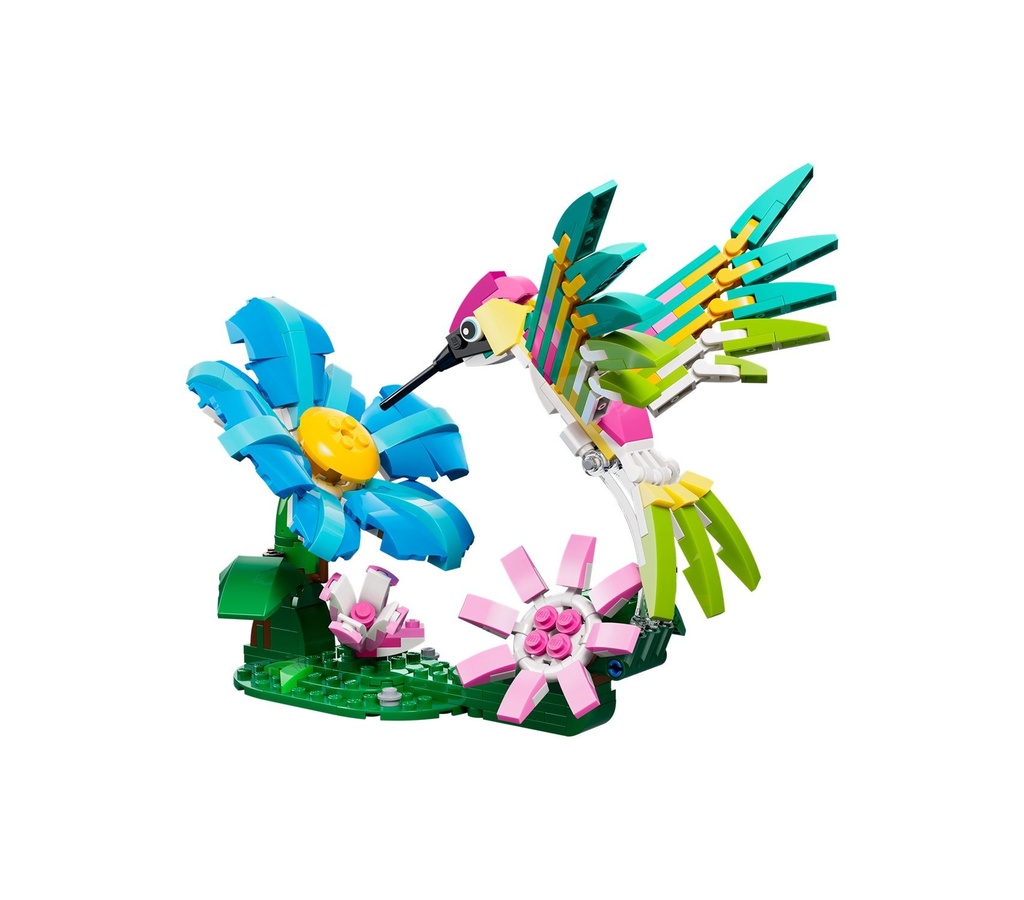 [1650568795] Le colibri coloré 31384