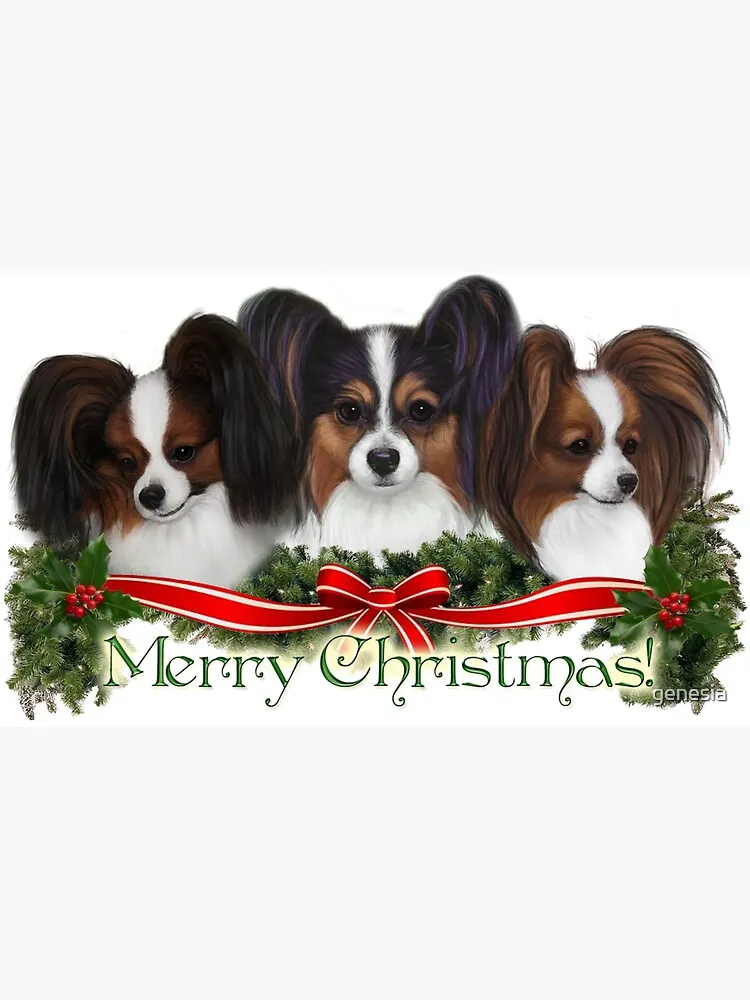 [16505573315] Papillon merry christmas