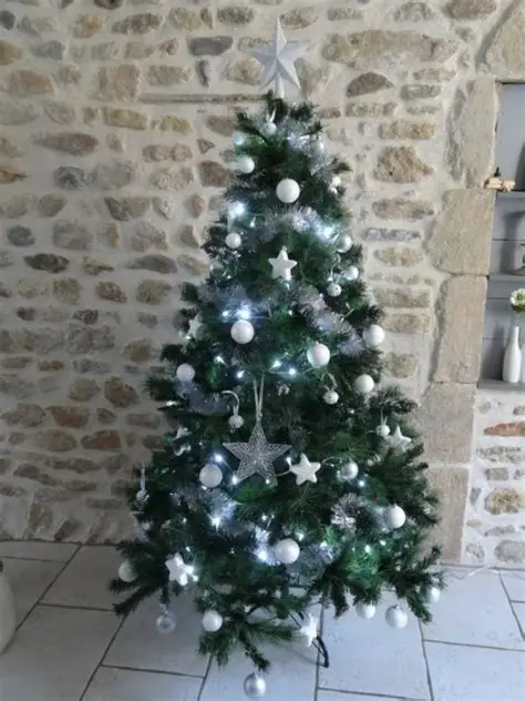 [1650560441] Sapin BMB