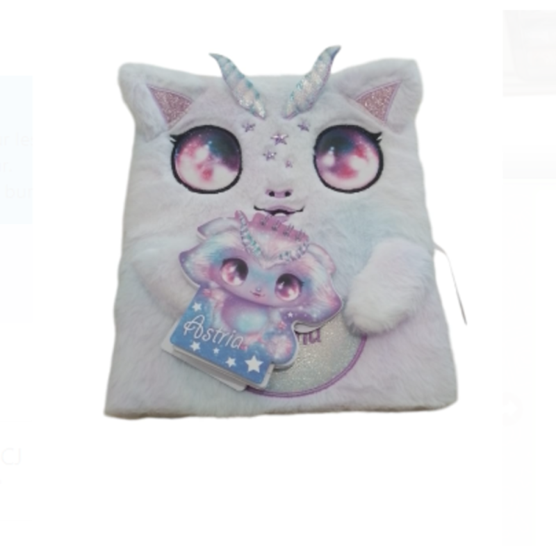 [1650562596] Large Journal Secret Peluche - Astria