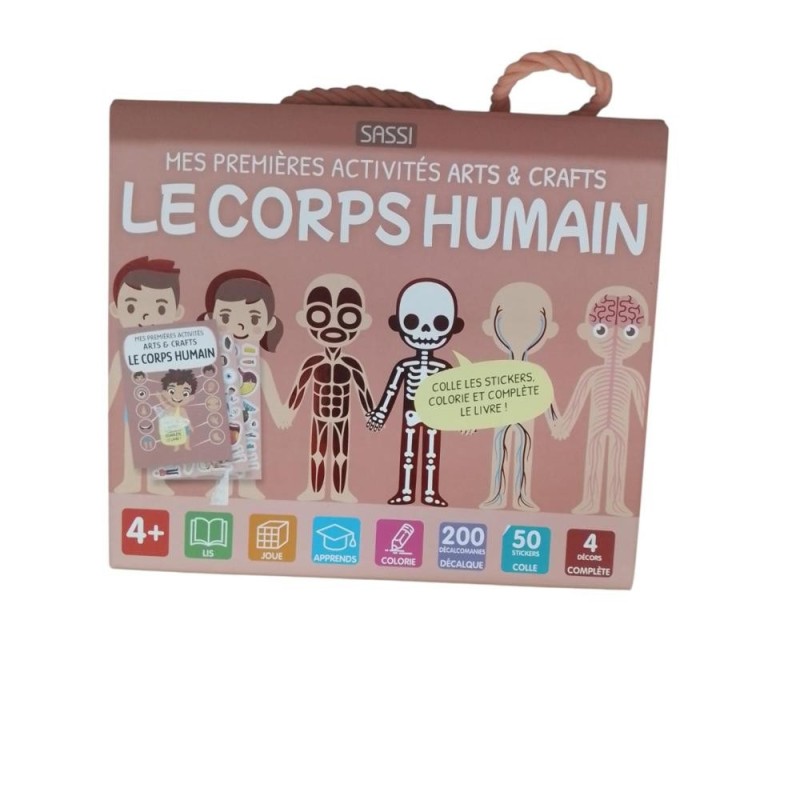 arts et craft le corps humain 29430