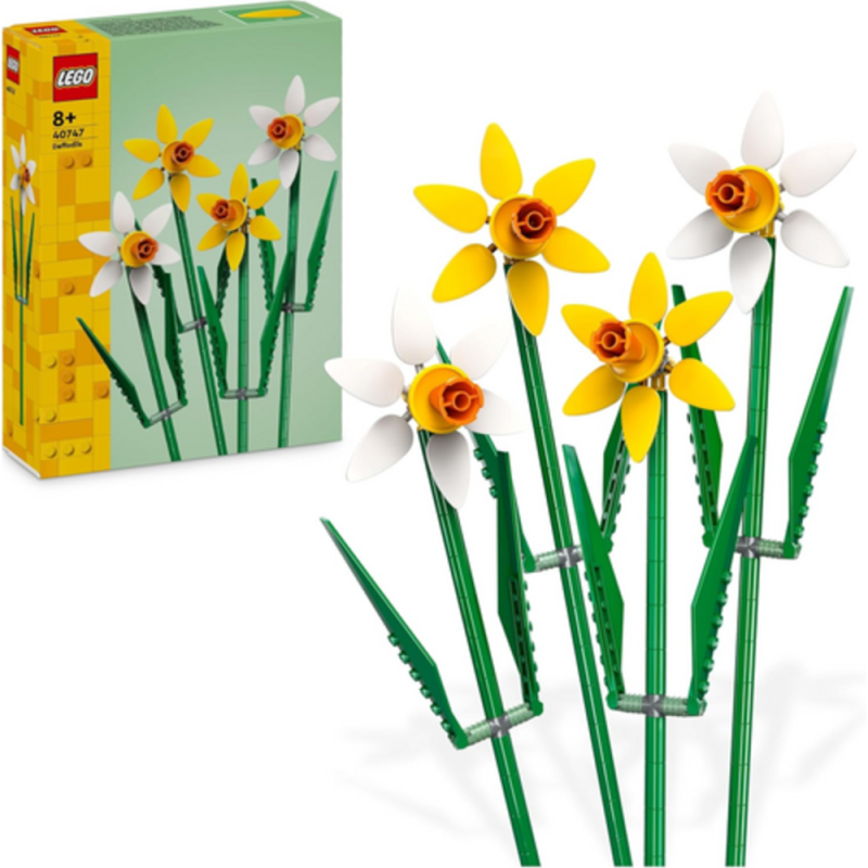 Les Jonquilles 40747