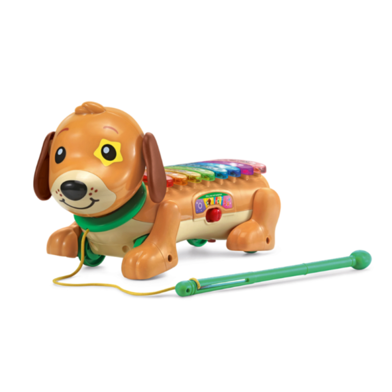 VTech – Elton, mon Rouli Xylophone (571005)