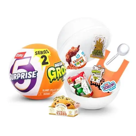 5 SURPRISE MEGA GROSS 77567GQ2