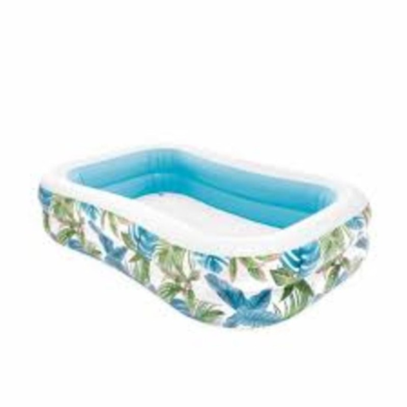 [1650565828] Tropical swin center family pool 57177
