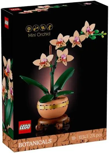 L'Orchidée Miniature 10343