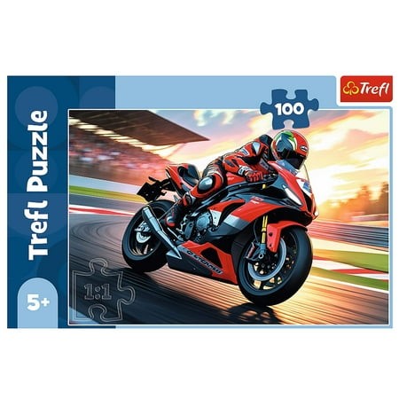 [1650567244] Puzzles 100 Fast motorbike 16489