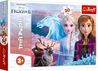 [35004051] Puzzle 30 frozen2 - Jouet Educatif