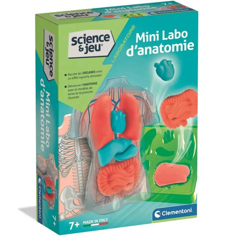 Mini labo d'anatomie 52897